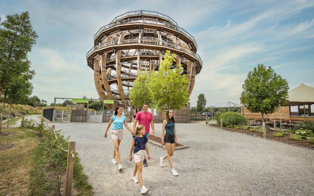 Freizeitpark Erlebnisholzkugel – Das ultimative Ziel für Ihren nächsten Familienausflug!